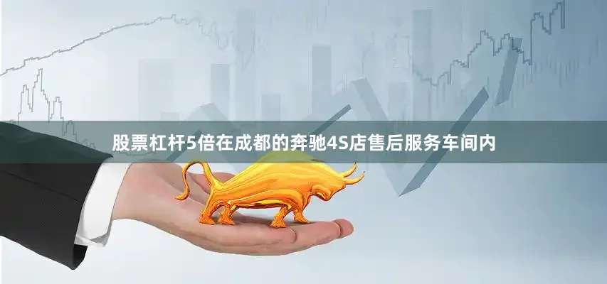 股票杠杆5倍在成都的奔驰4S店售后服务车间内